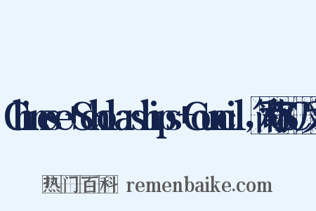 Chinese+Scholarships+Council，简称CSC反义词是什么意思的图片